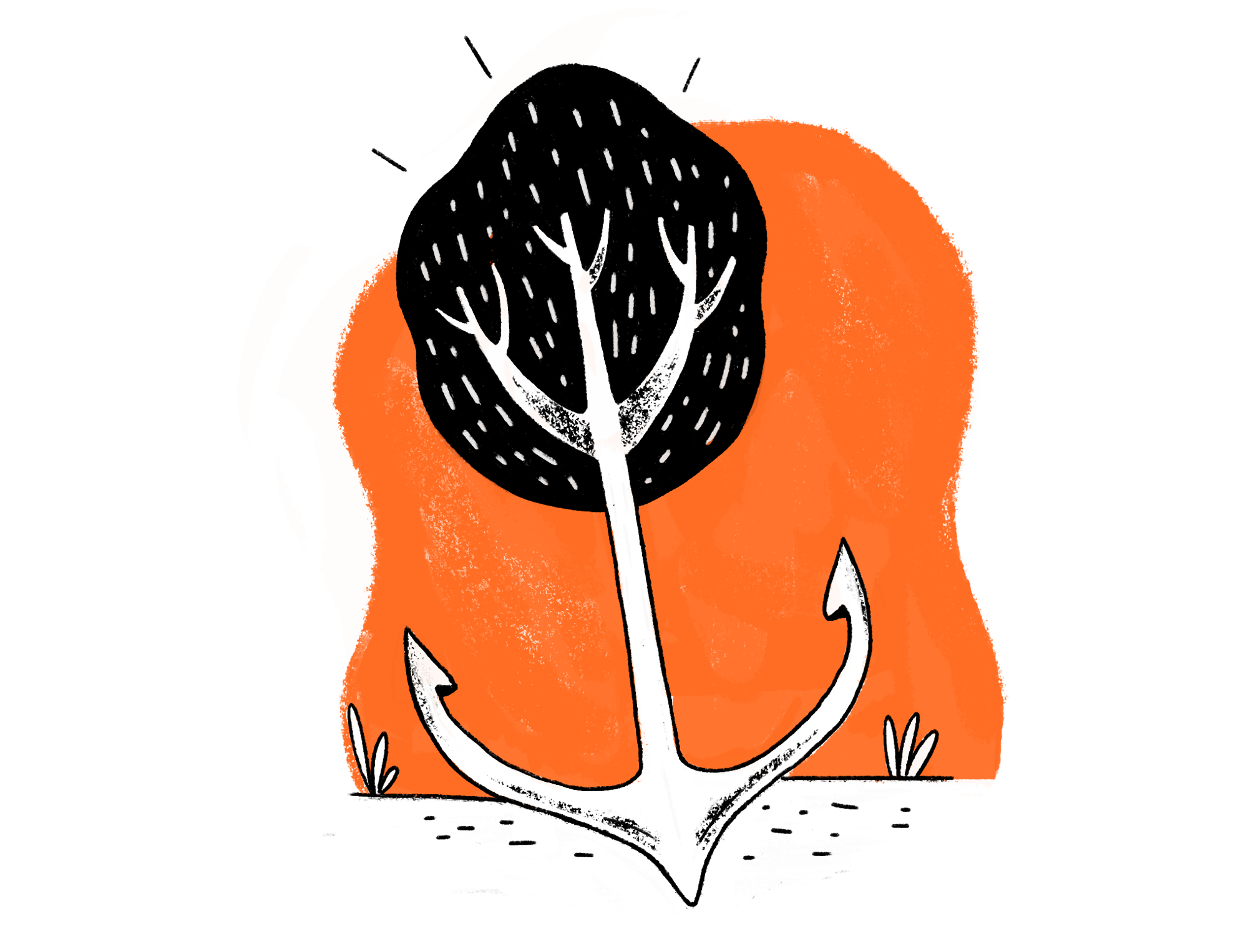 parcours_o parcours_o